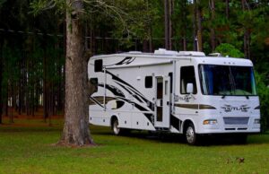 RV parked in forest