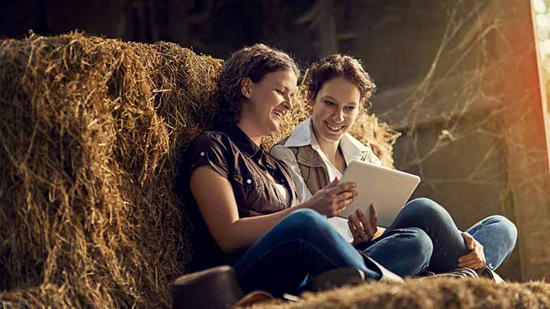 People using internet in barn