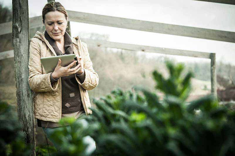 woman on ipad outdoors