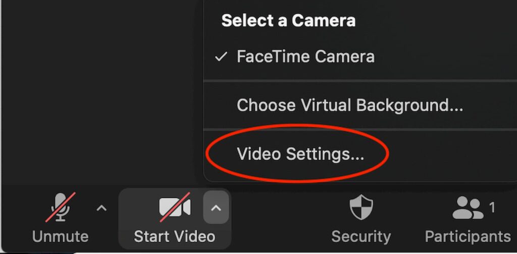 Zoom screenshot of video settings
