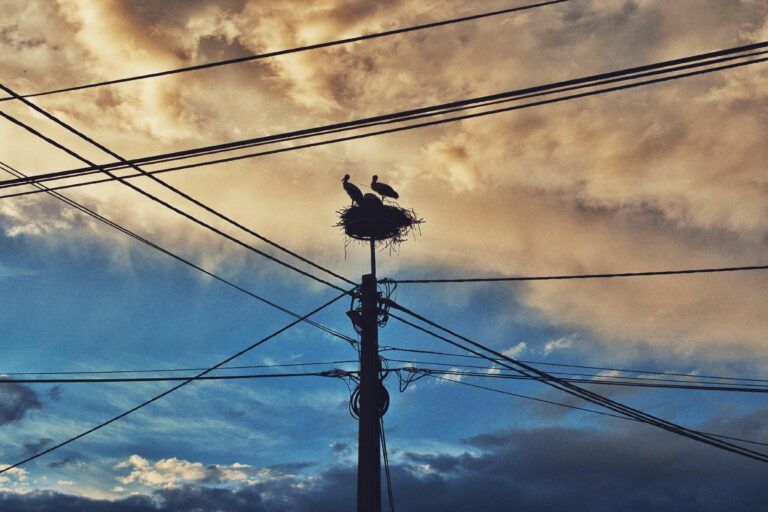 How to Get Internet Without A Phone Line